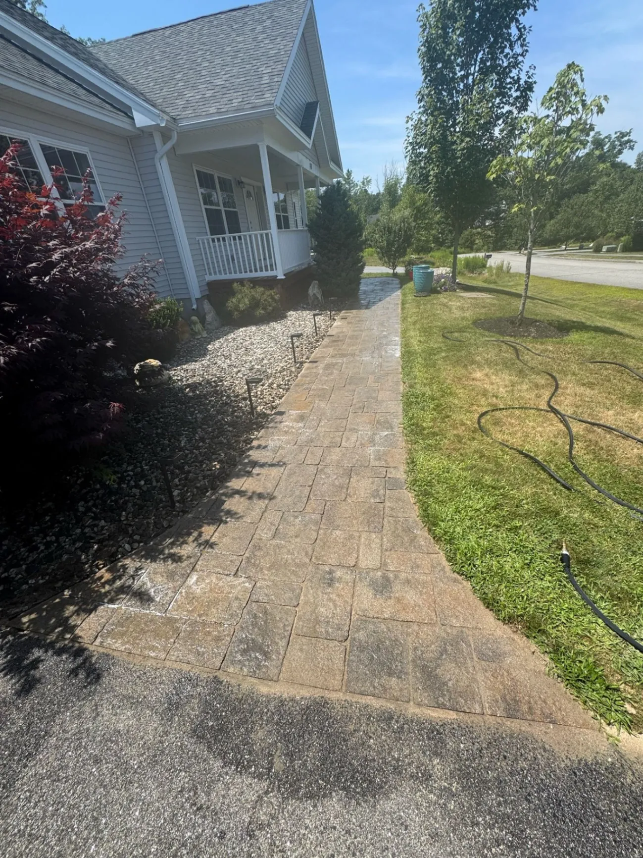Gallery image 63