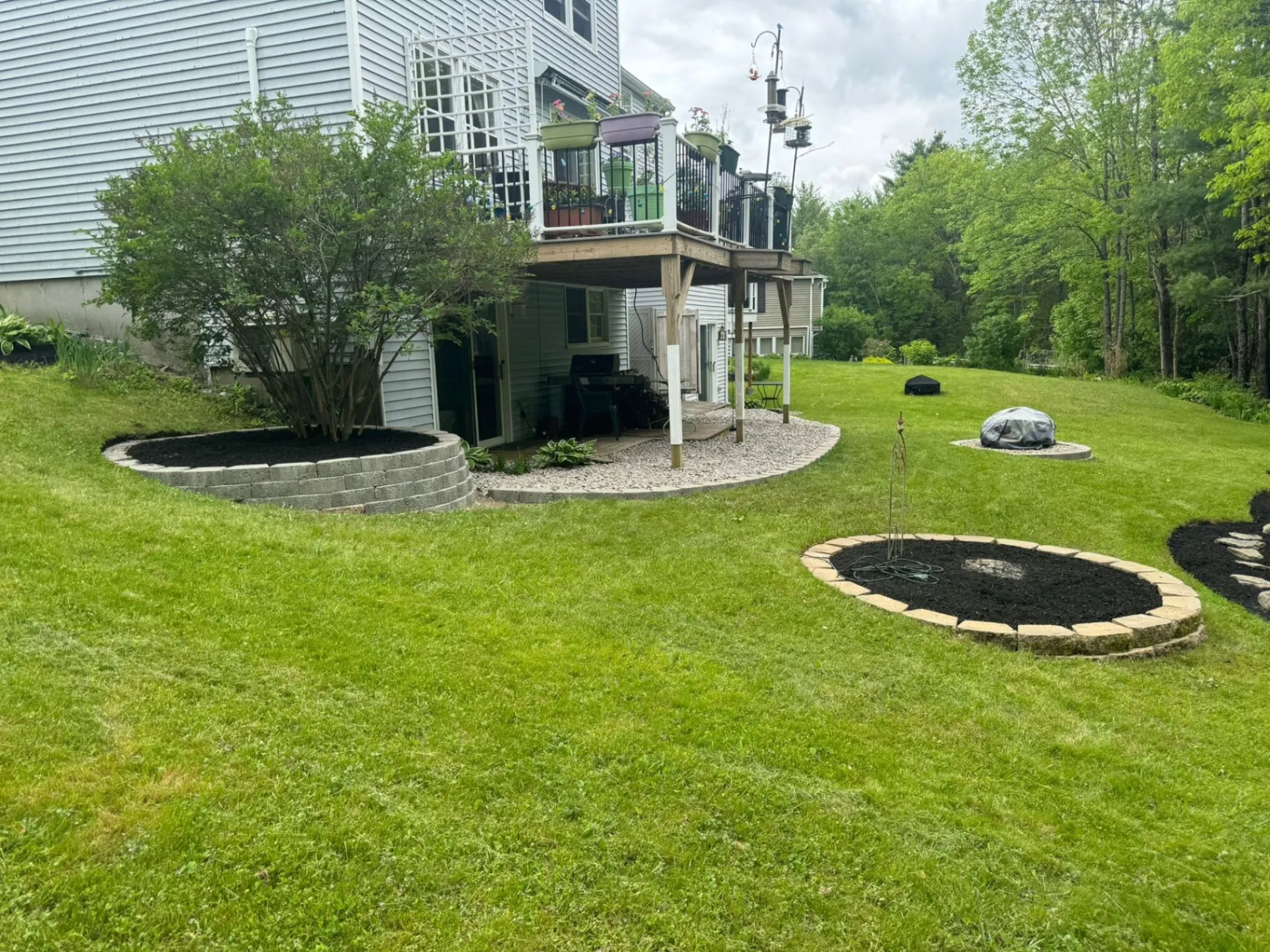 Gallery image 43