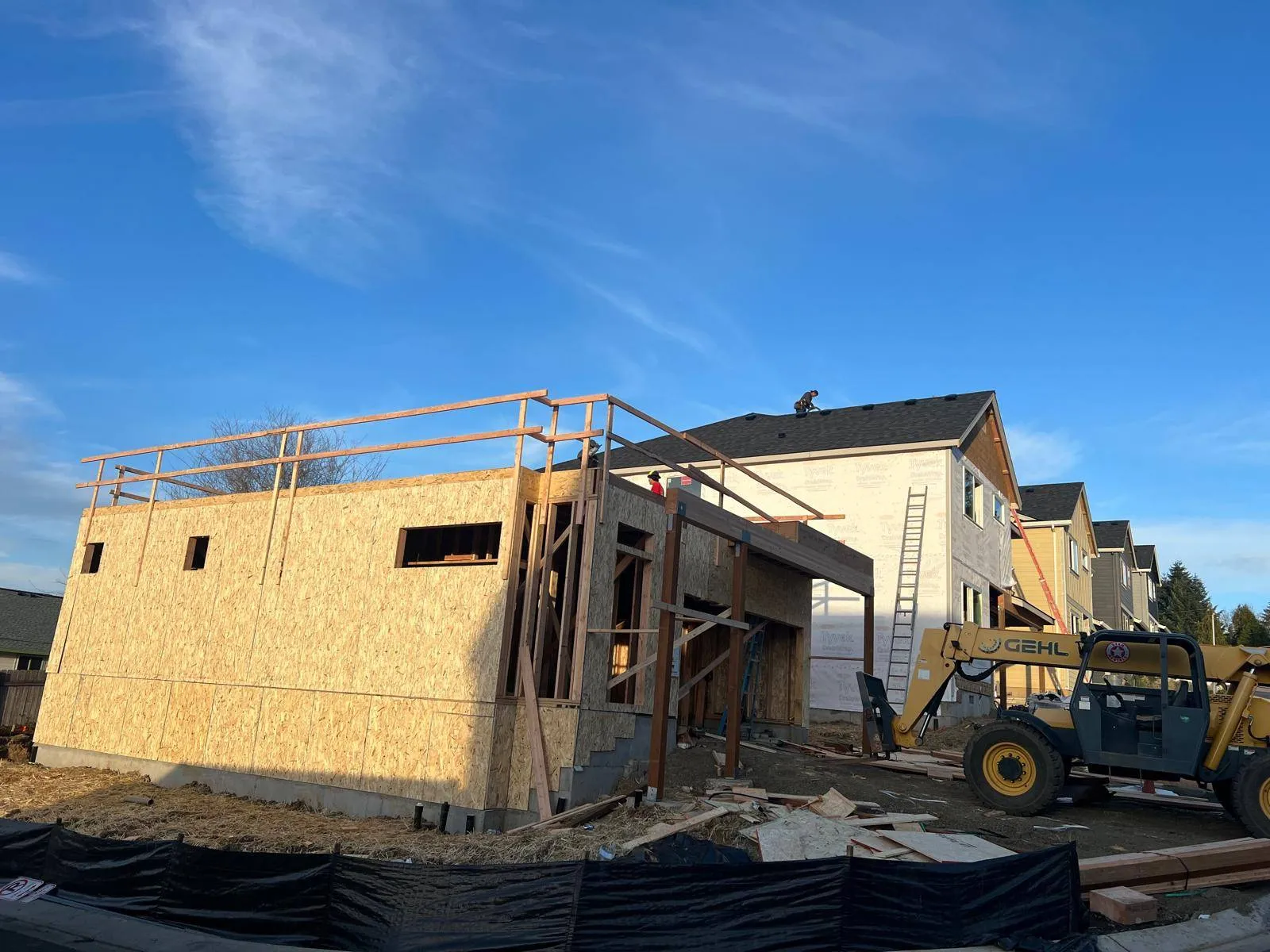 Gallery image 17