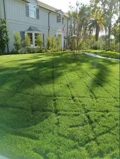 Brush Clearance for Fire Regulations