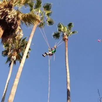 Quality Tree Pruning