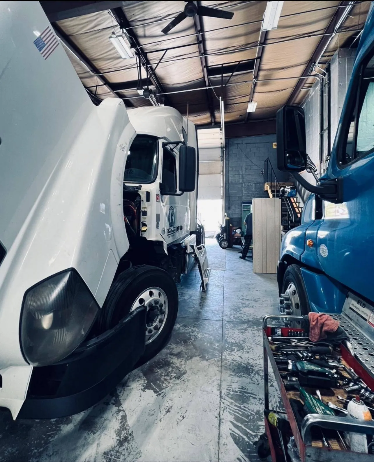 Chess Transport Freight Services Corporation