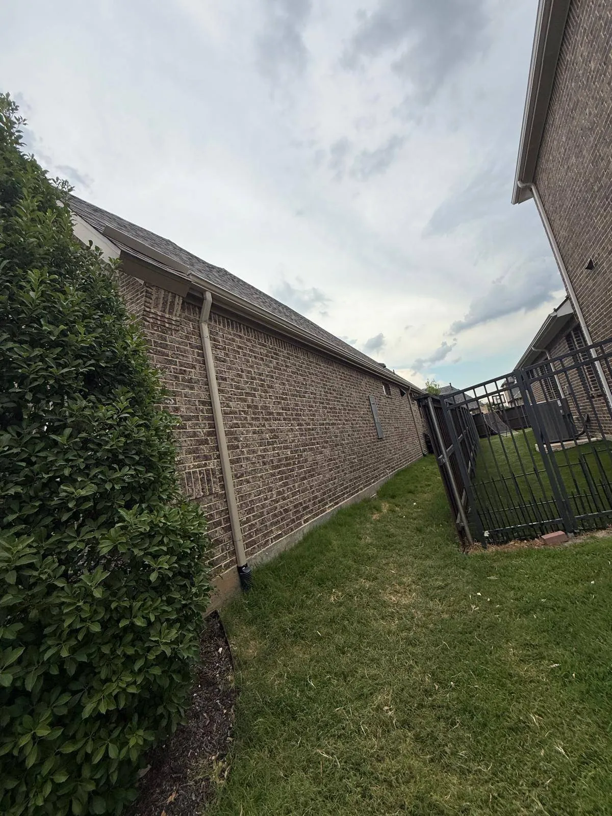 Gallery image 10