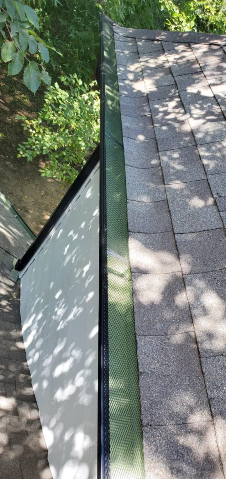 Gallery image 53