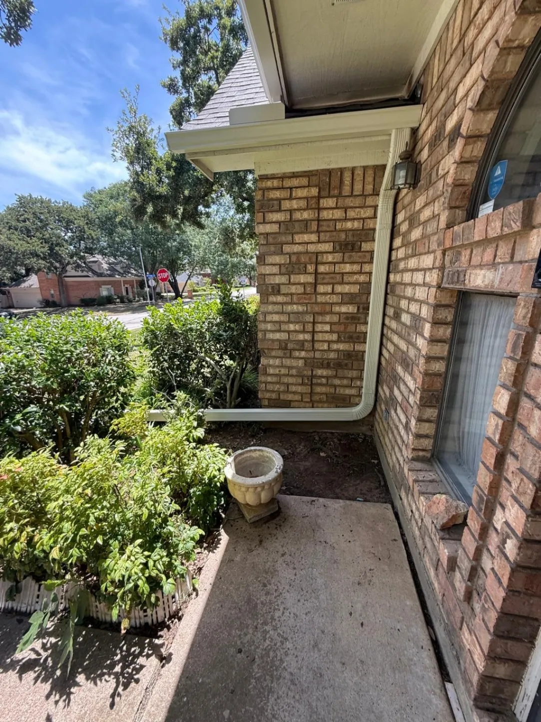 Gallery image 66