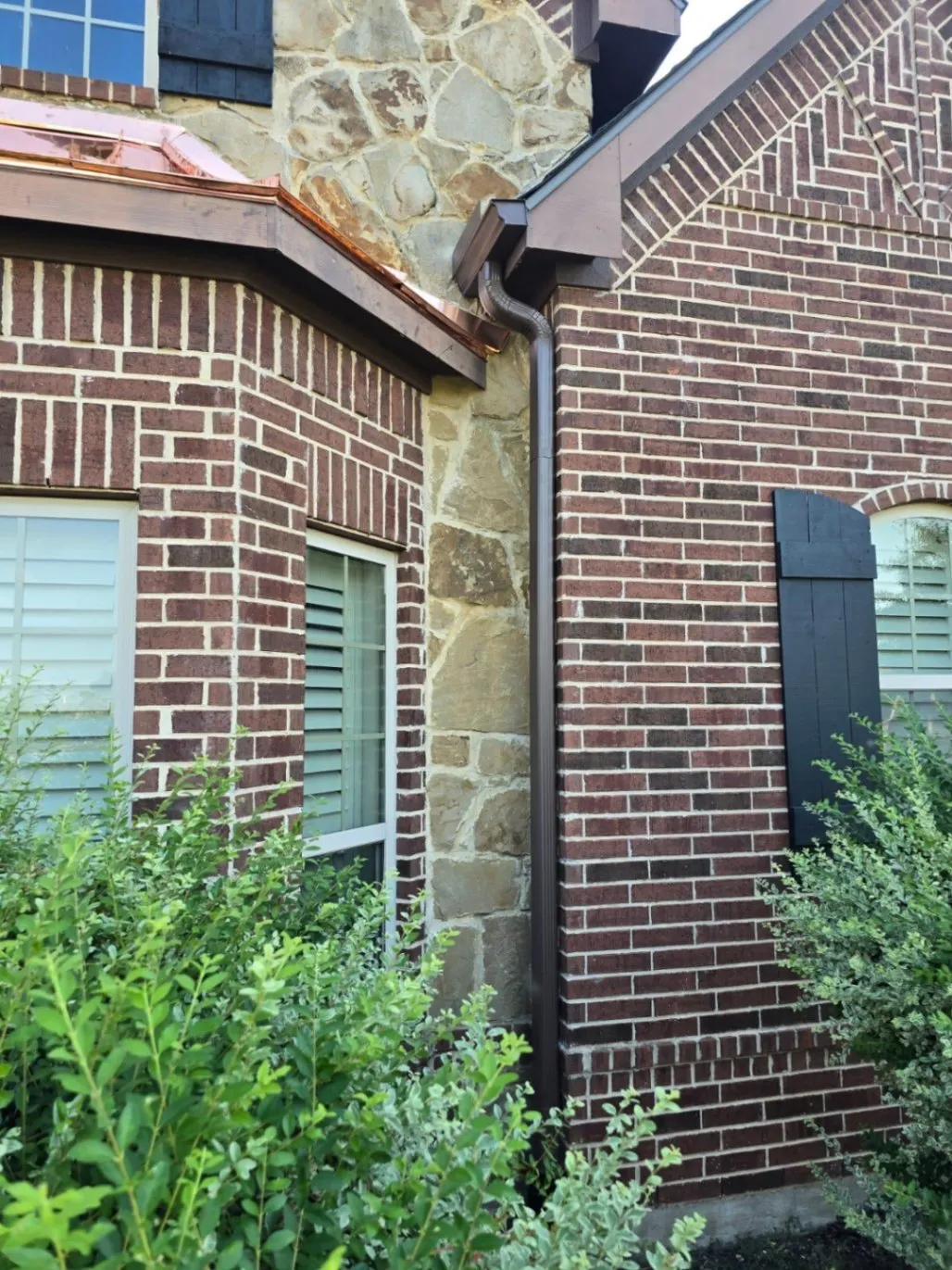 Gallery image 6