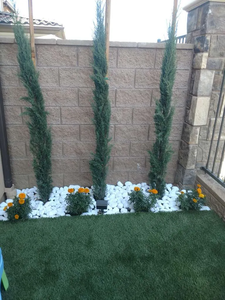 Transforming Outdoor Spaces, Elevating Lives - Carta 3