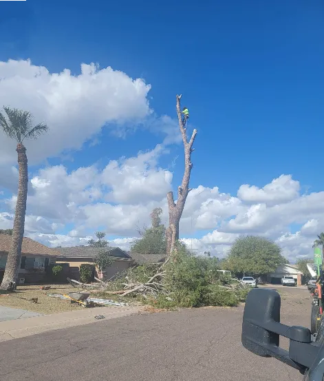 Gallery item 13