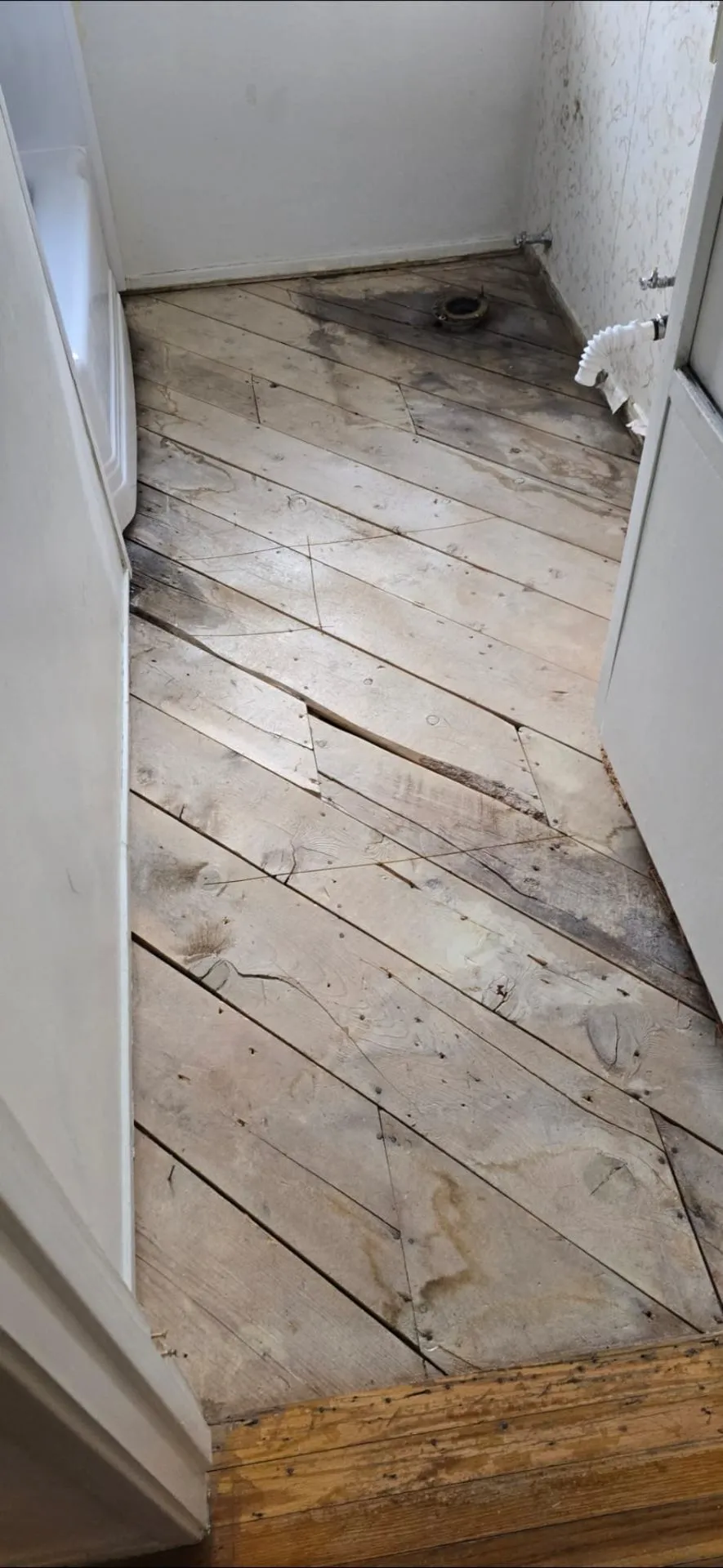 Gallery image 18