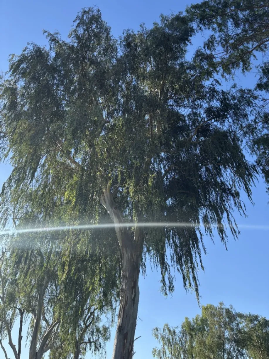 Gallery image 17