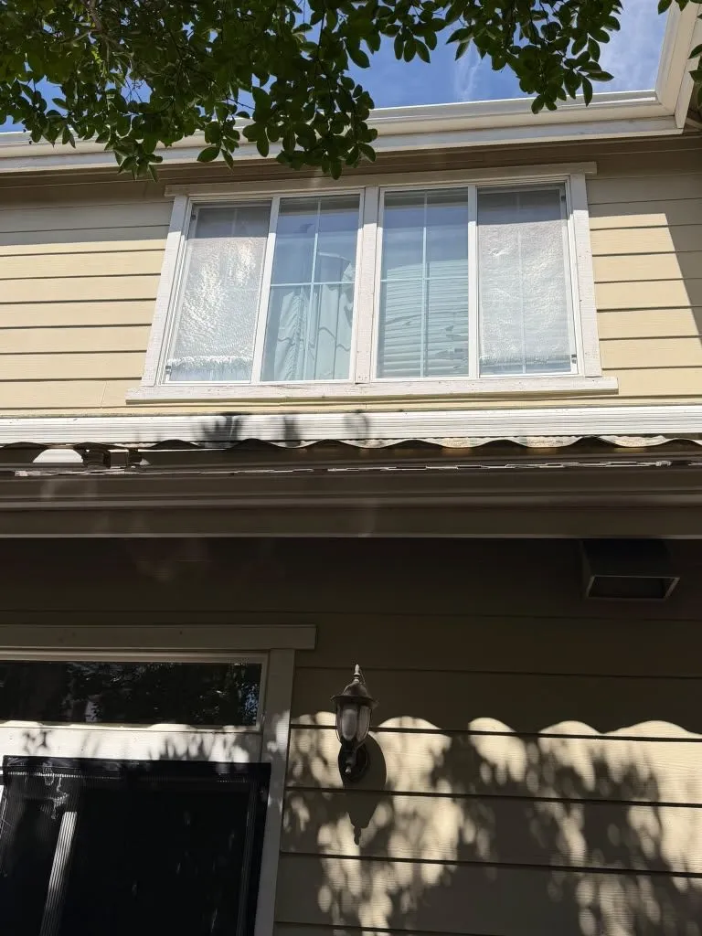 Gutter Cleaning
