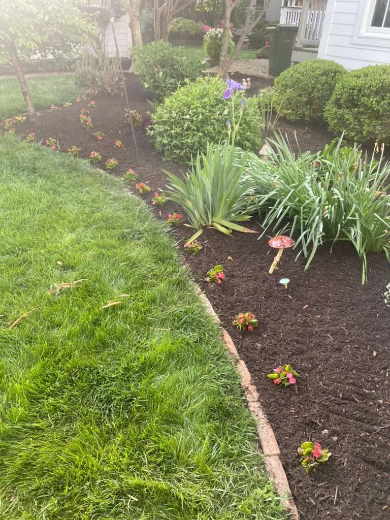 Lawn Edging