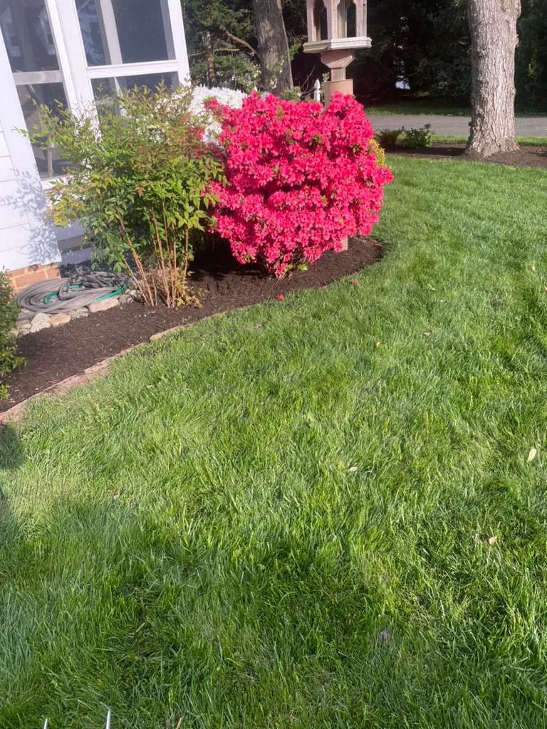 Transform Your Outdoors Today - Carta 1