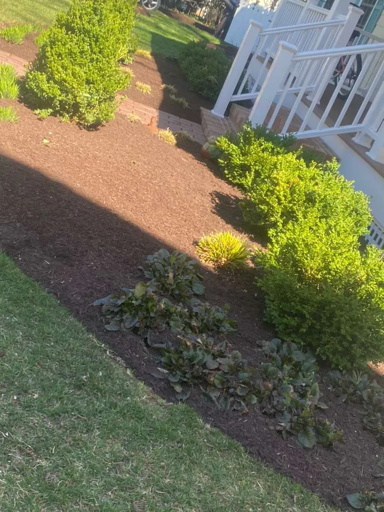 Transform Your Outdoors Today - Carta 2