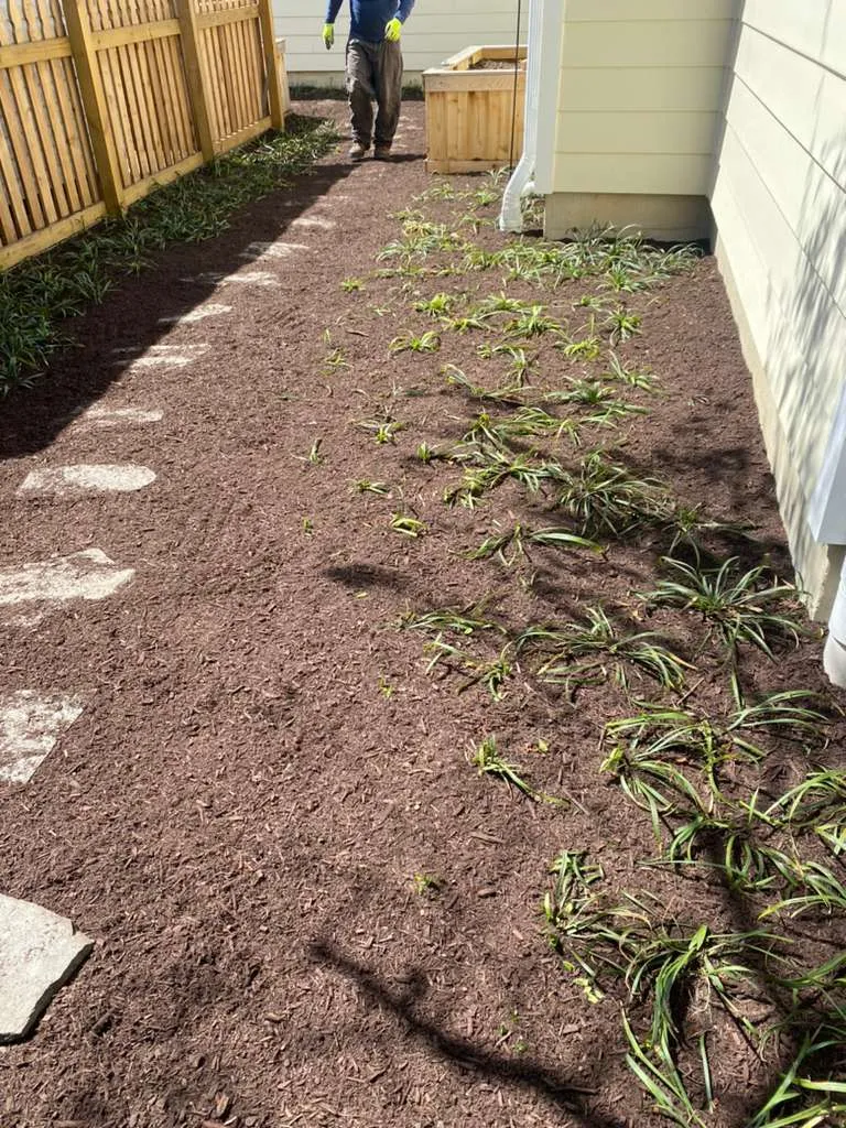Transform Your Outdoors Today - Carta 3