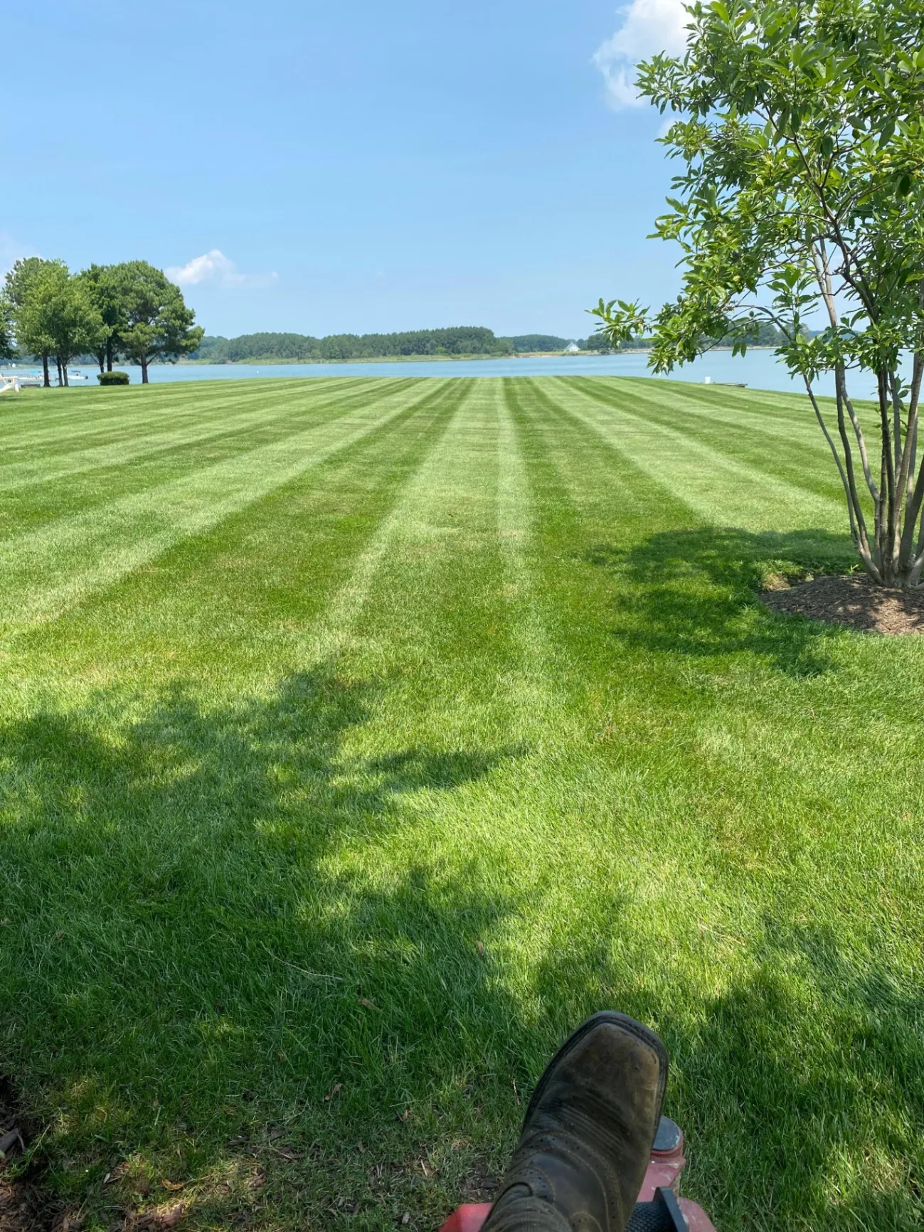 Lawn Trimming