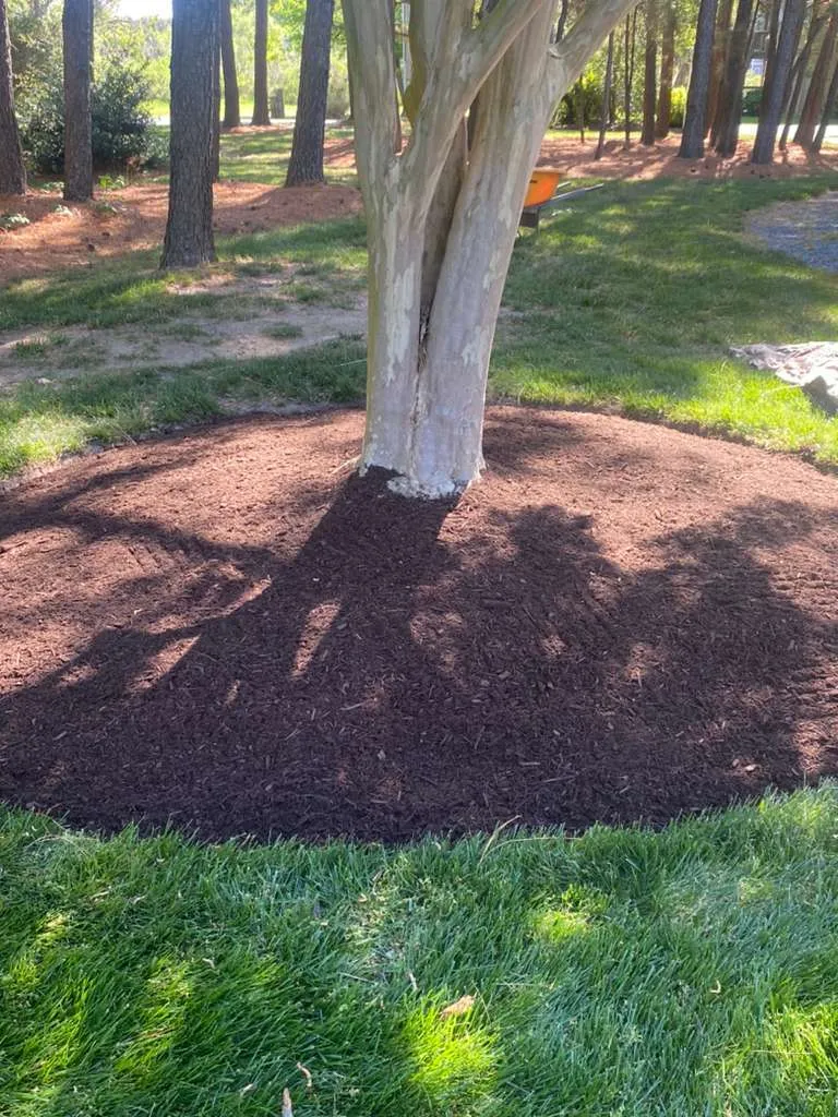 Mulching Services