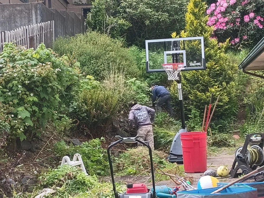 Oregon Green Lawn Maintenance