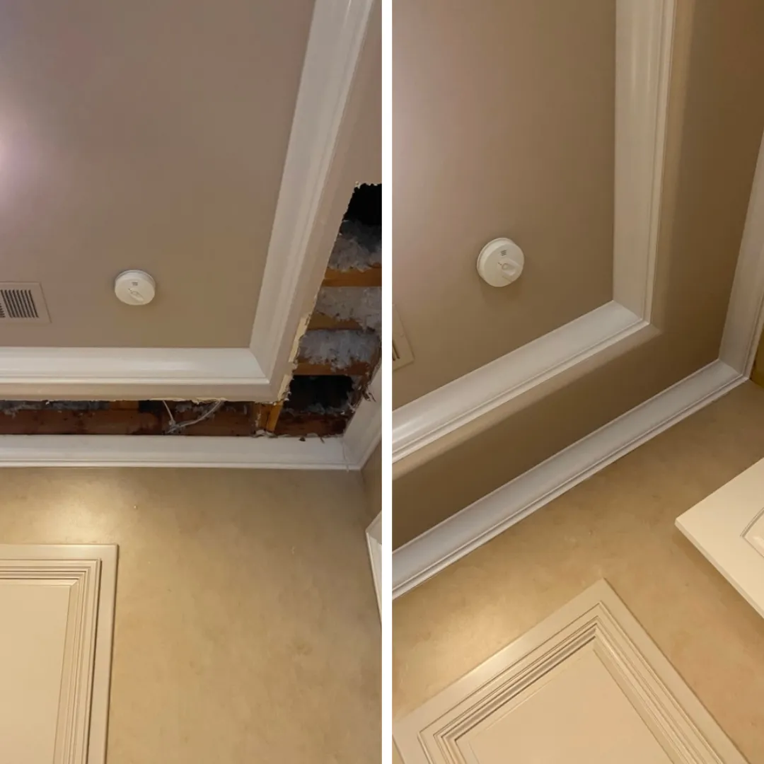 Patch and repair services