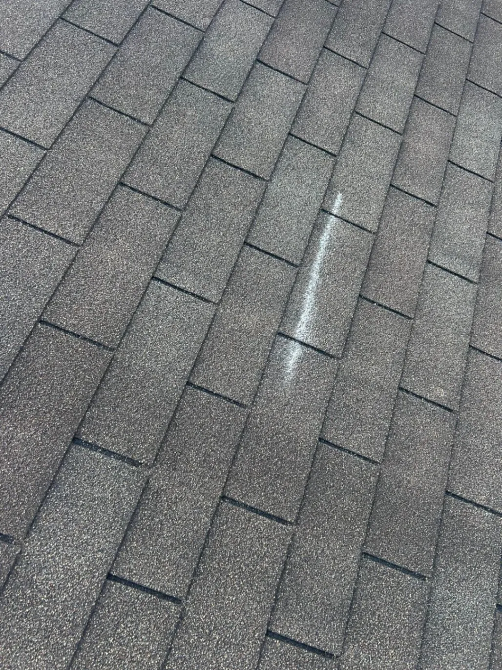 Gallery image 15