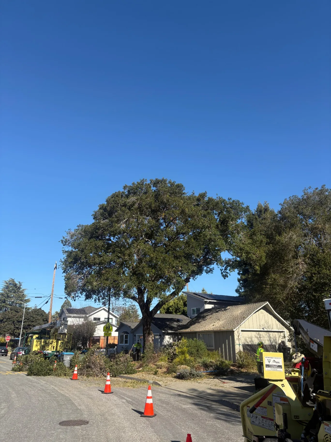 JB General Tree Service