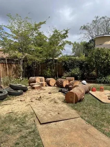 Landscaping services