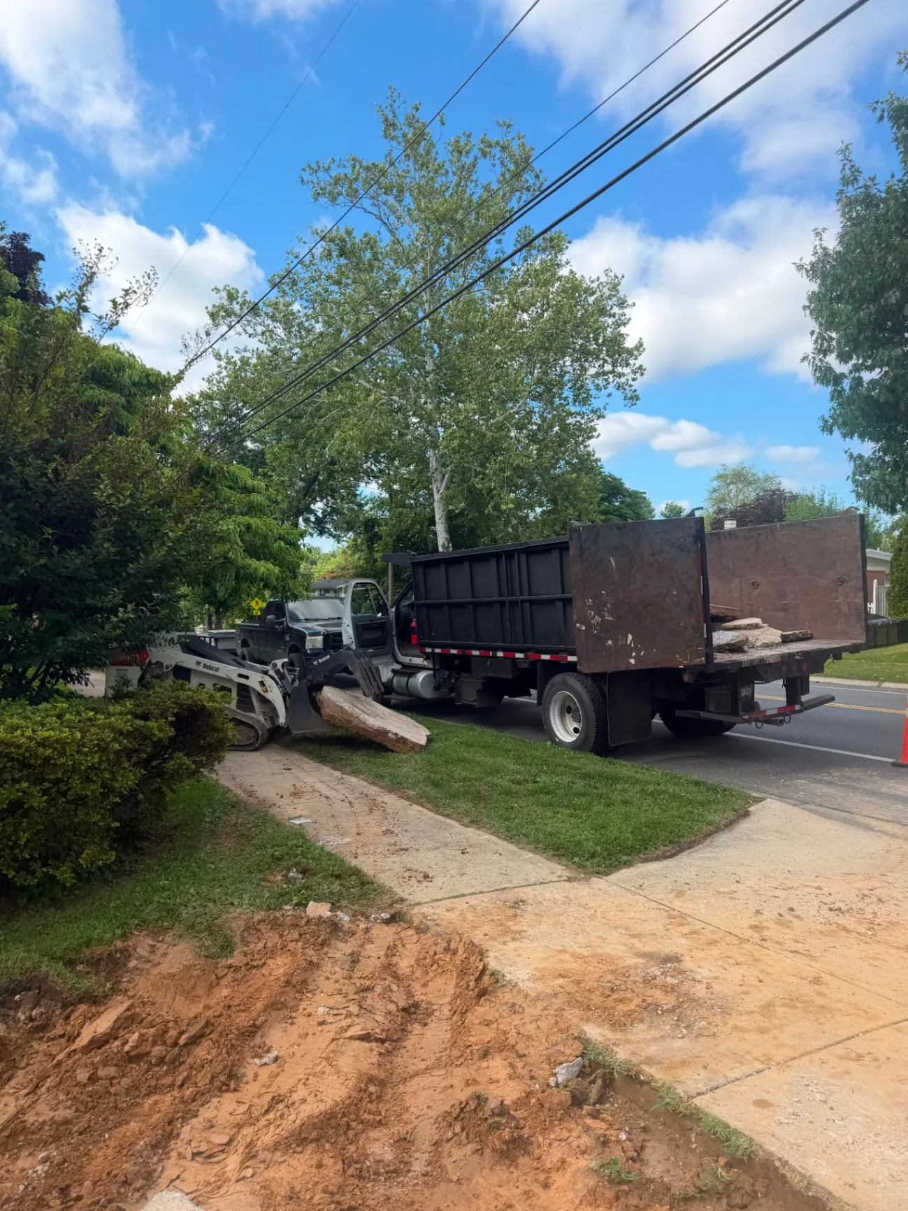 Expert Tree and Landscaping Solutions 4