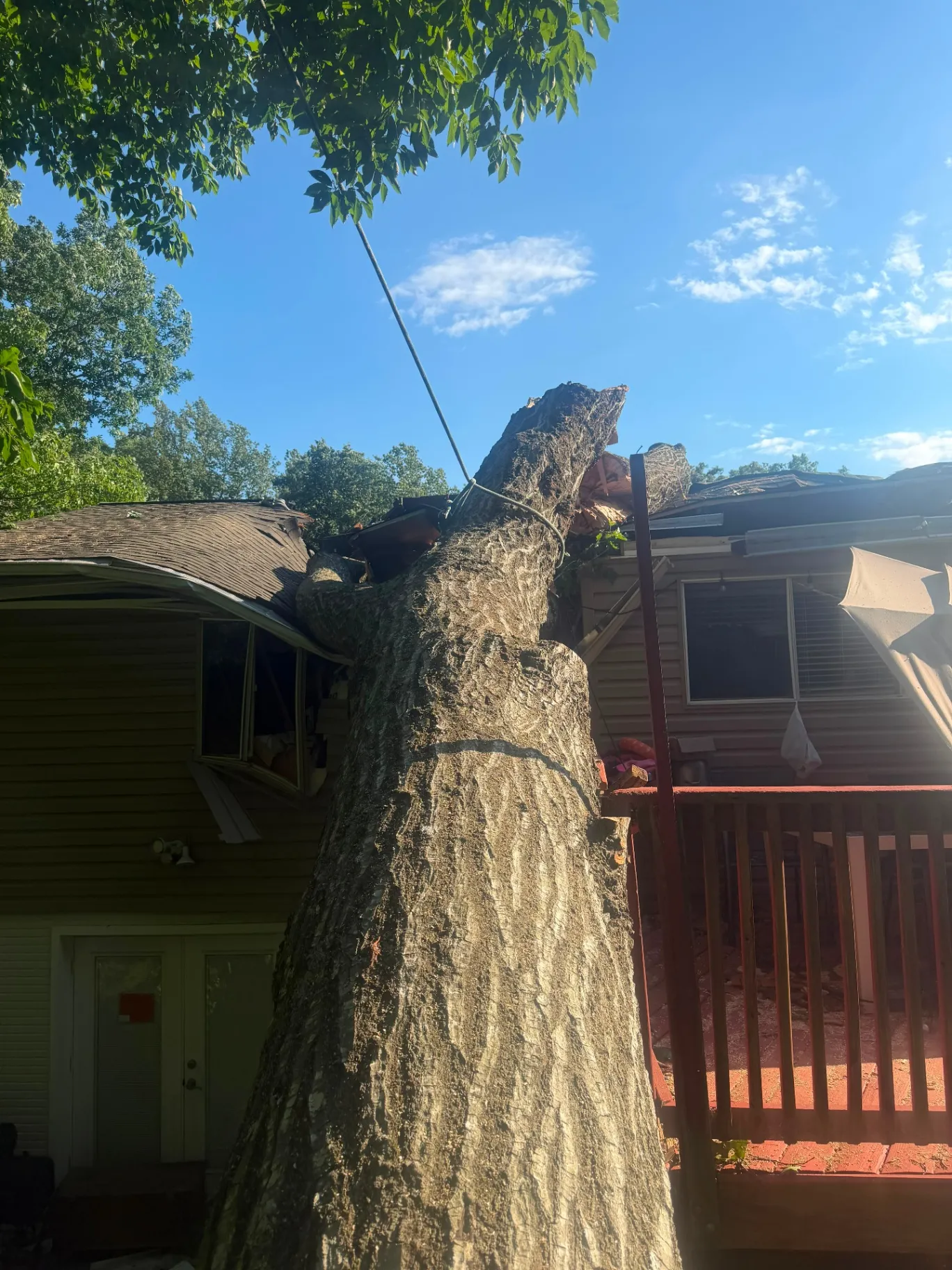 ALY Tree Services & Landscaping - Gaithersburg, MD Maryland