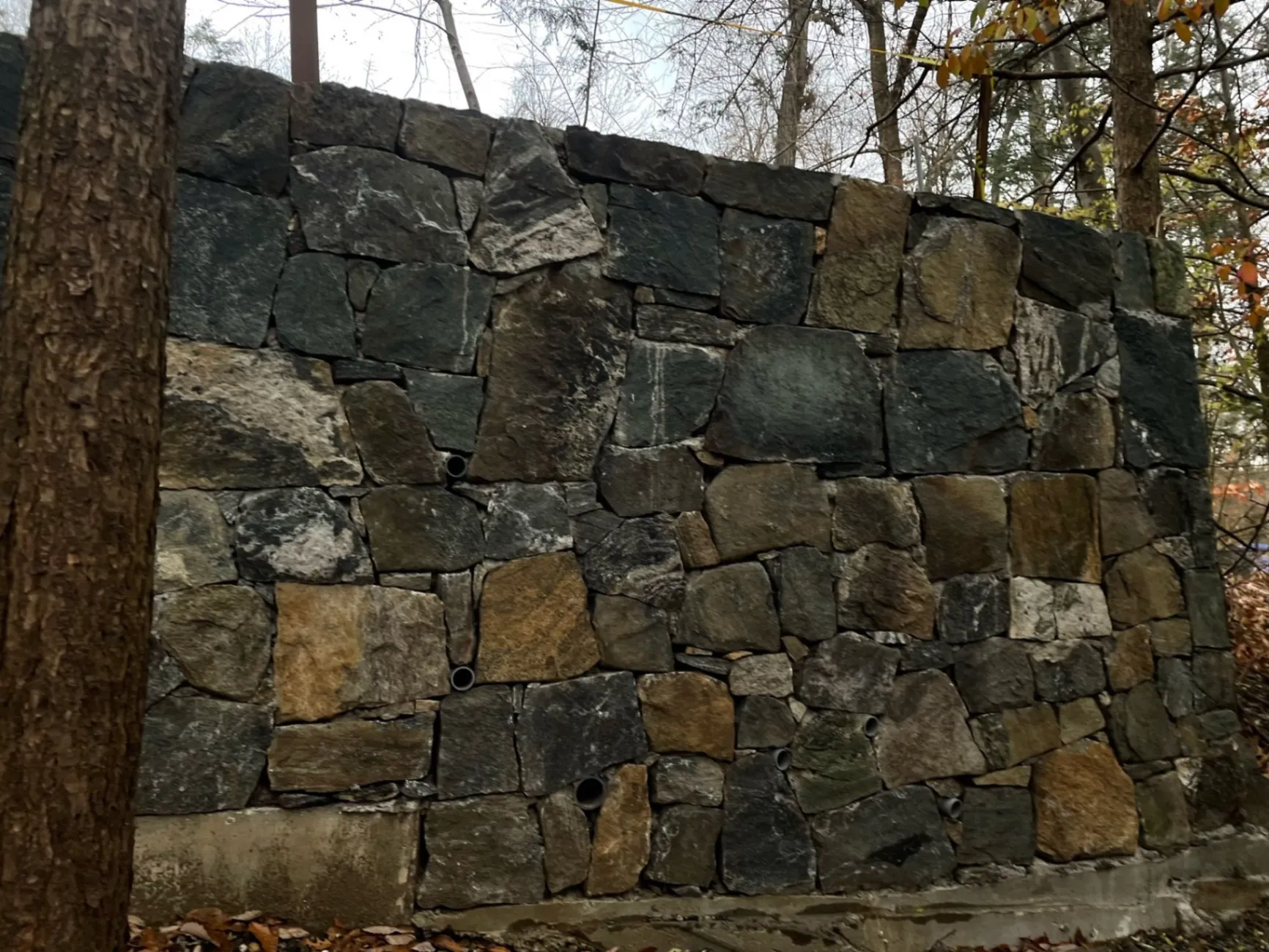 Gallery image 63