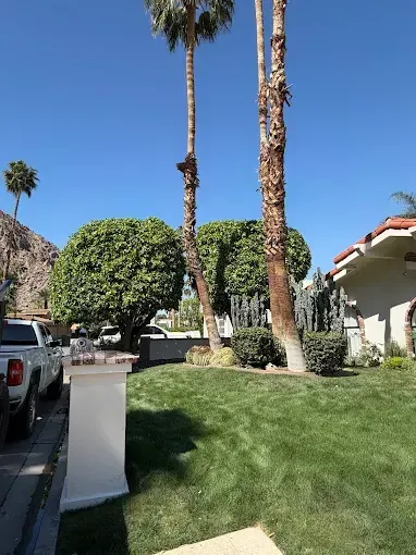 Panther's Landscape Inc. 1