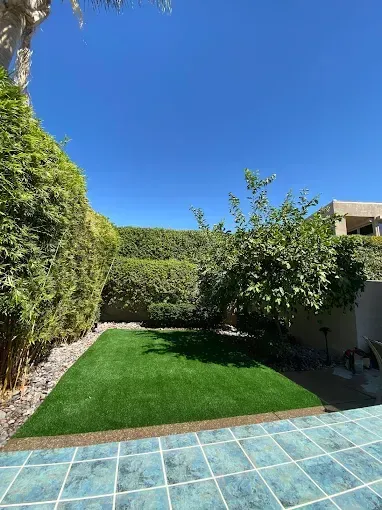 Slide 4 — Expert Landscape and Tree Care Solutions