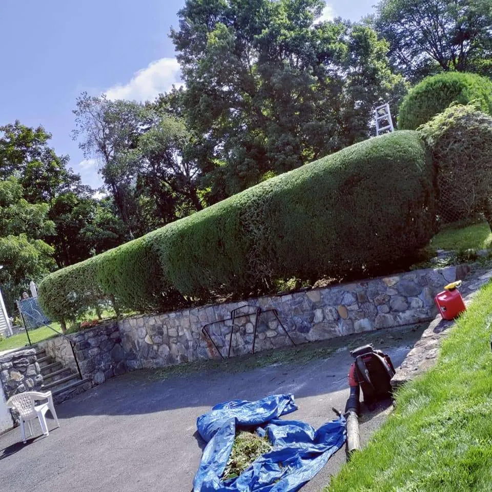 Landscape Construction