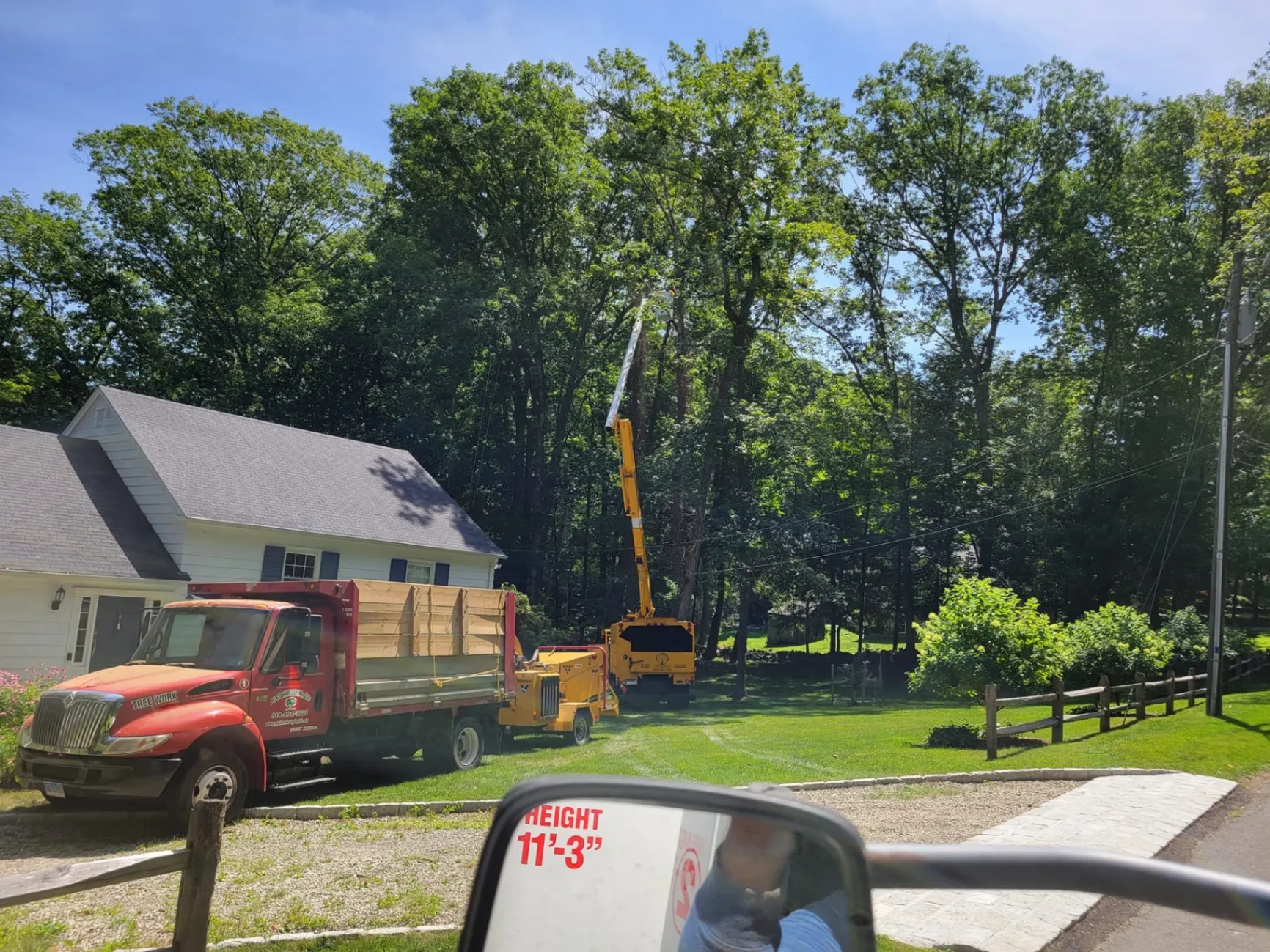 Tree Services