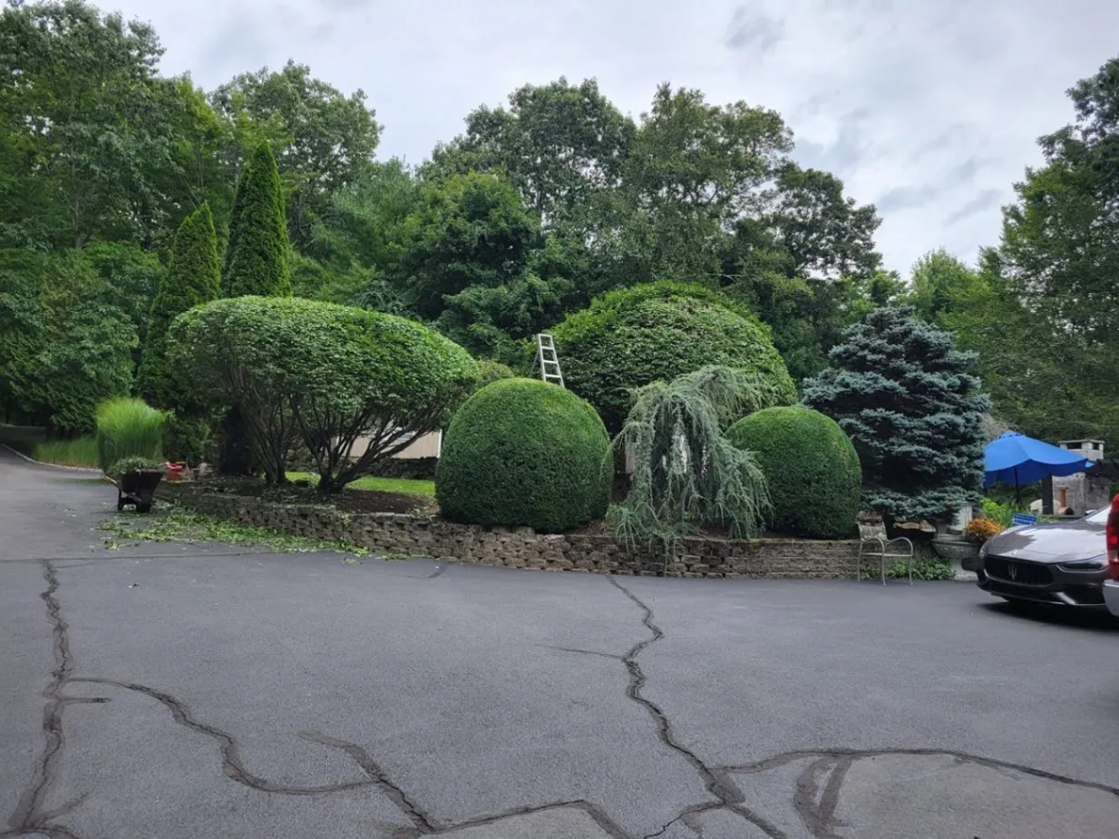 Exterior Hardscaping