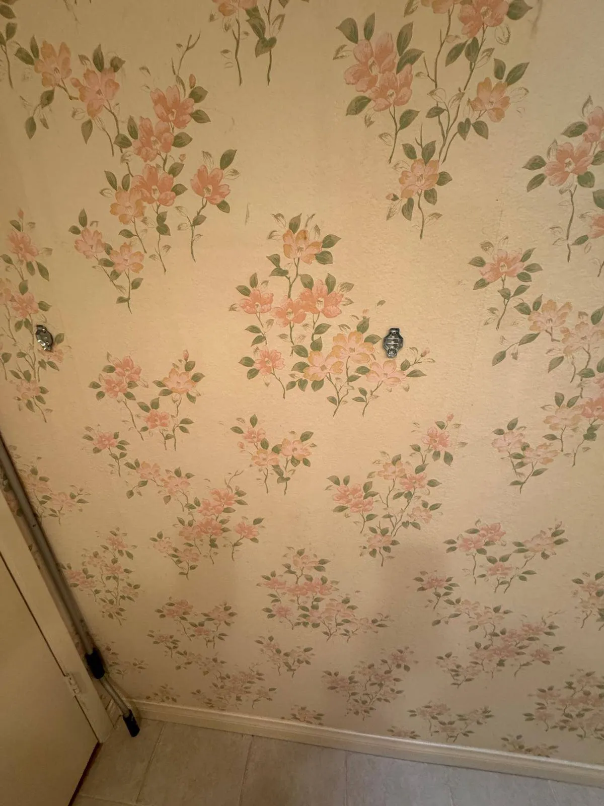 Wall Paper Removal