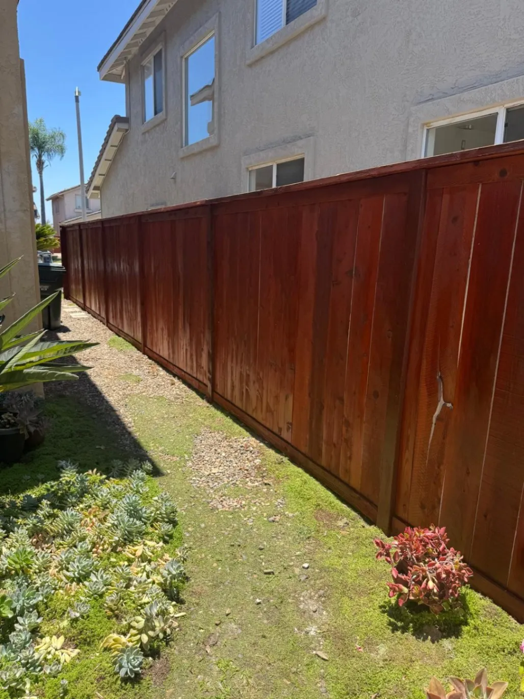 Fence Painting