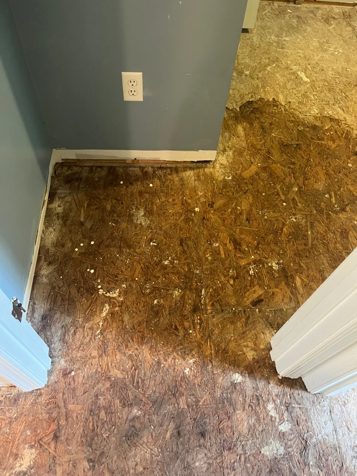 Gallery image 7