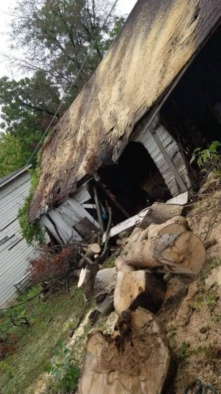 Hazardous Tree Removal