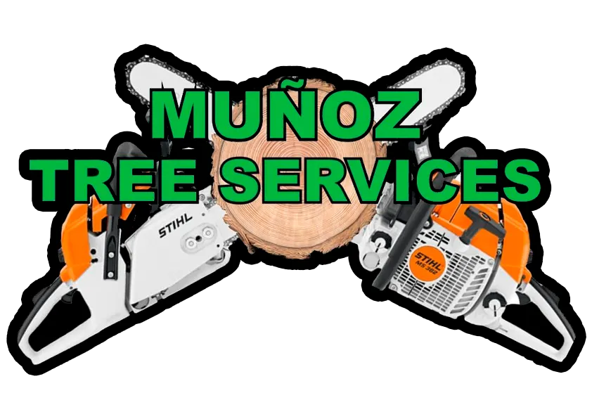Muñoz Tree Services