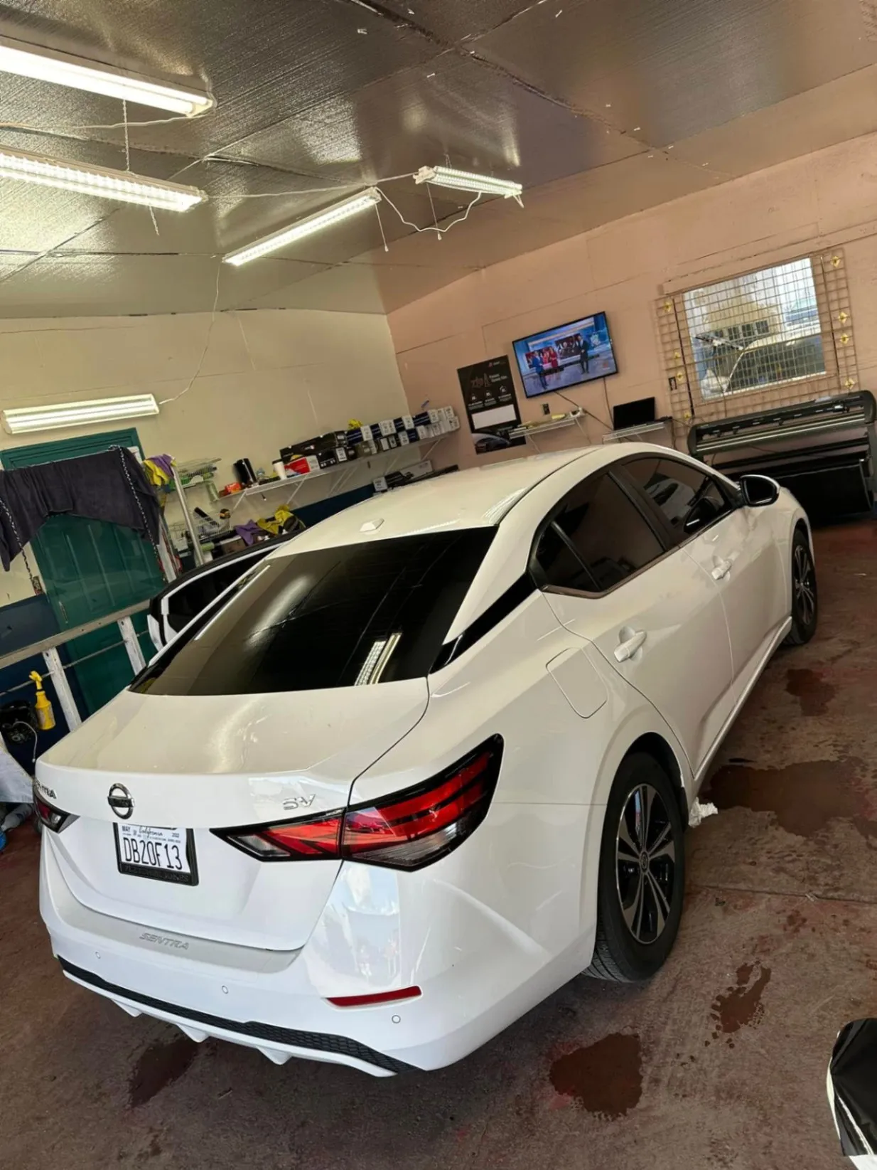 Elevate Your Space with Expert Tinting - banner