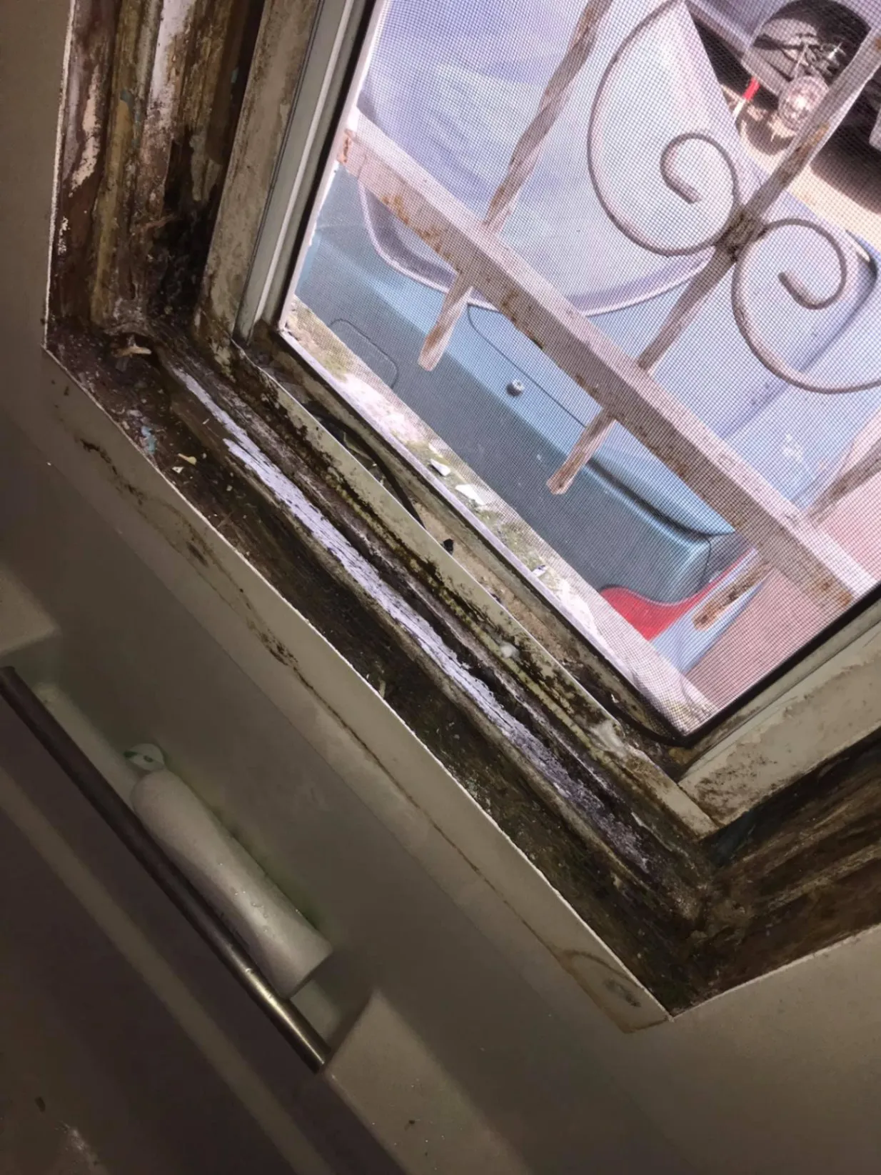 Mold, Fungi, Bacteria, Smoke and VOC Testing