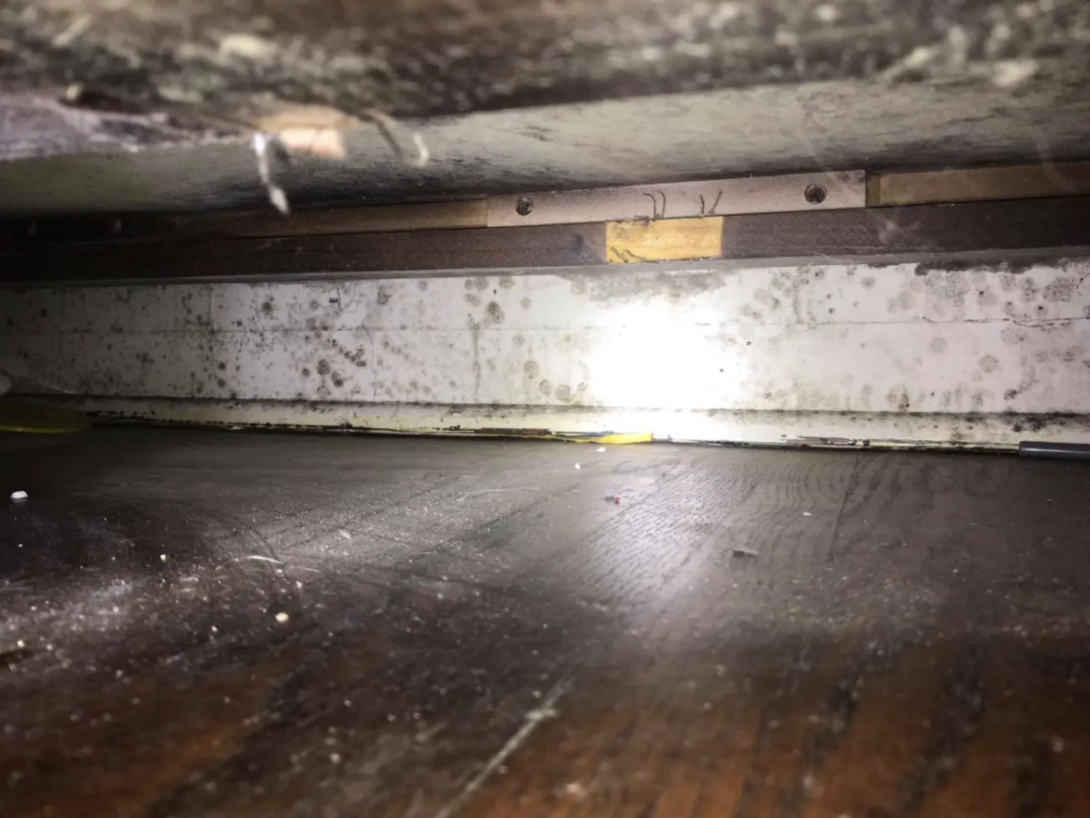 Mold, Fungi, Bacteria, Smoke and VOC Testing