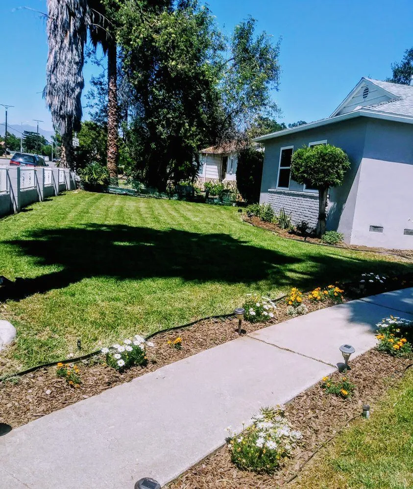 Gallery image 11
