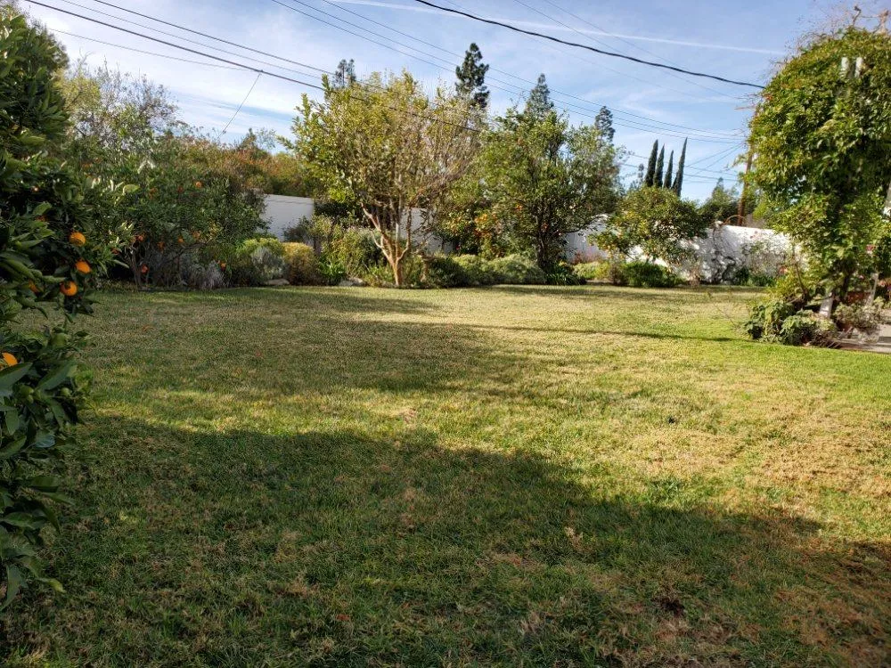 Gallery image 14
