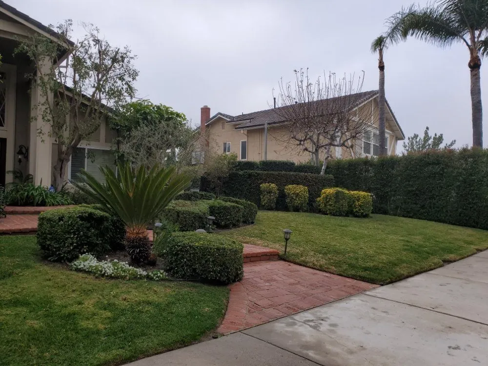 Residential Landscaping Services