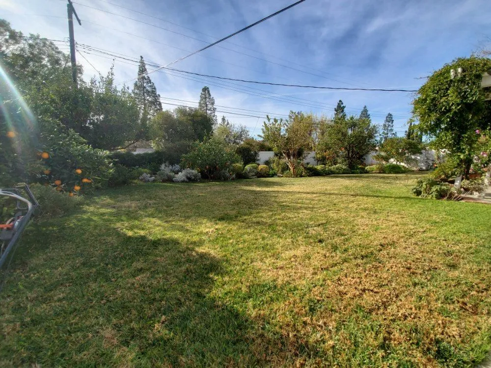 Gallery image 17