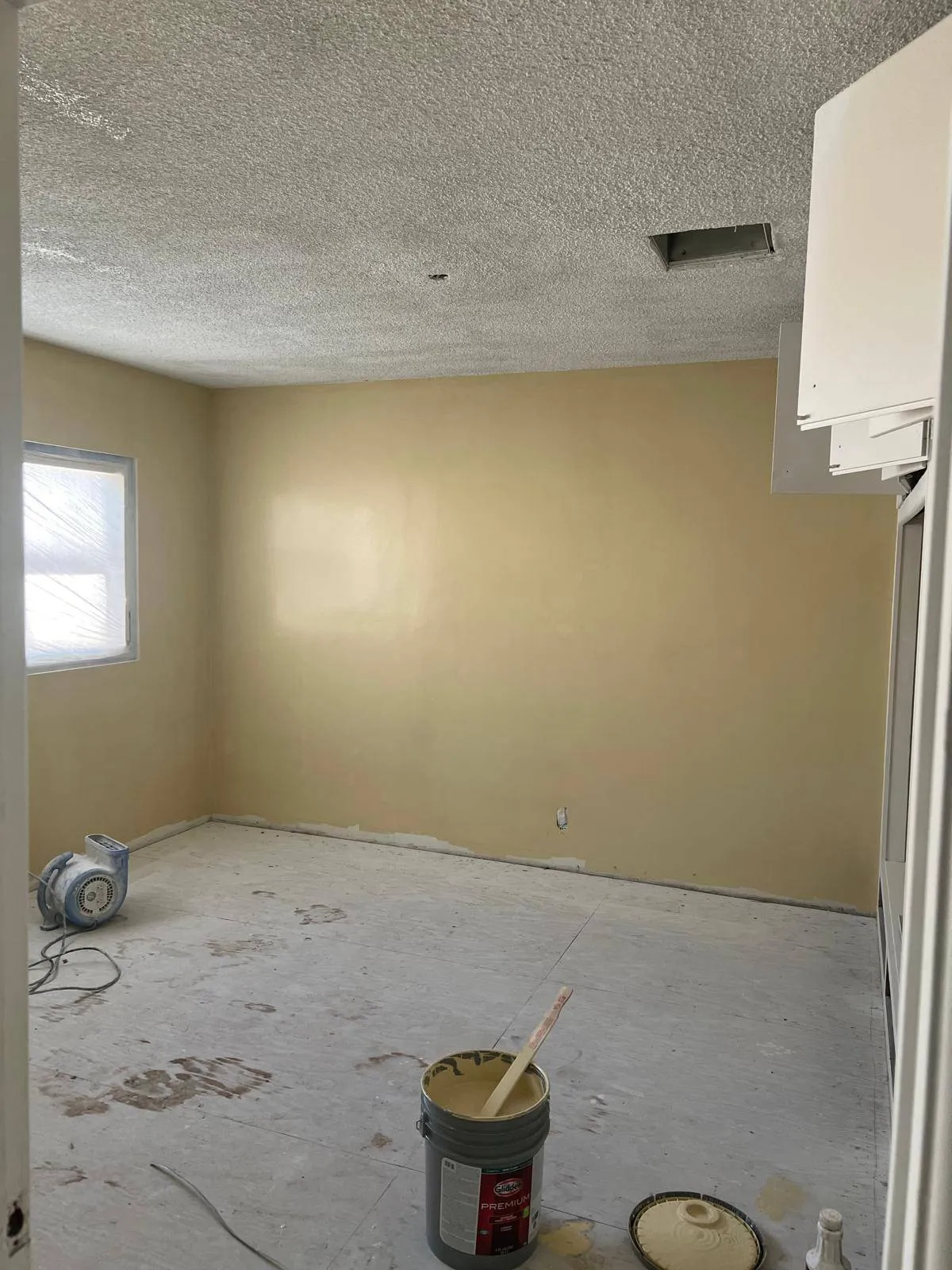 Gallery image 19