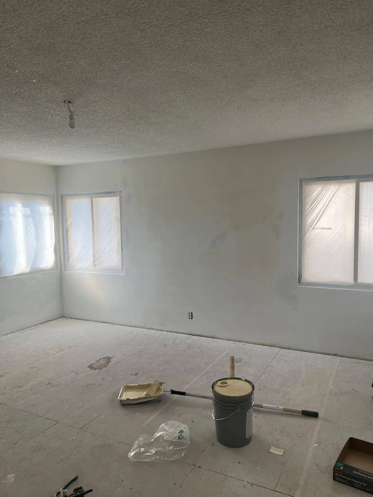 Gallery image 17