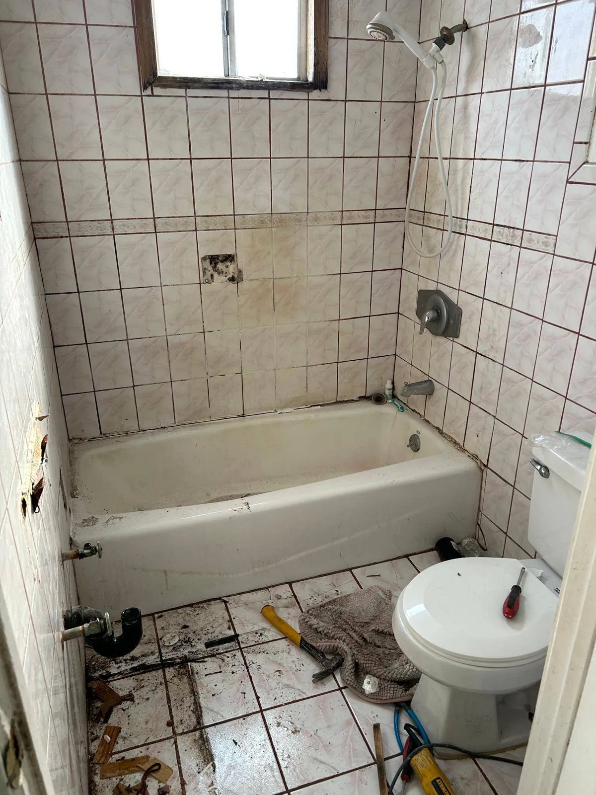 Gallery image 9