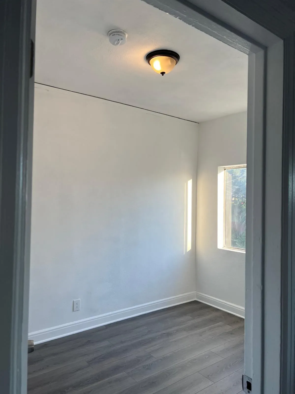 Gallery image 10